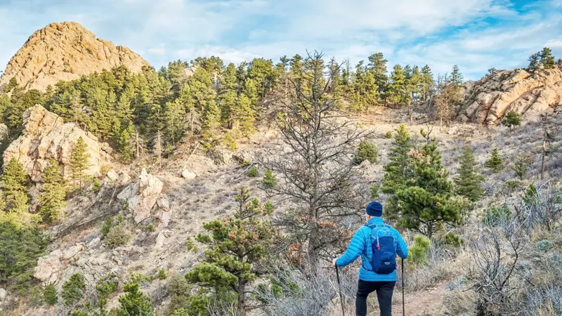 A surprising moment in Big Bend, One of America’s most remote parks, Desert trails full of surprises, A seasonal event in the Texas desert, The desert environment they call home, A spider common in the Southwest, Hidden homes across the landscape, What to do if you see tarantulas, Nature’s tough balance