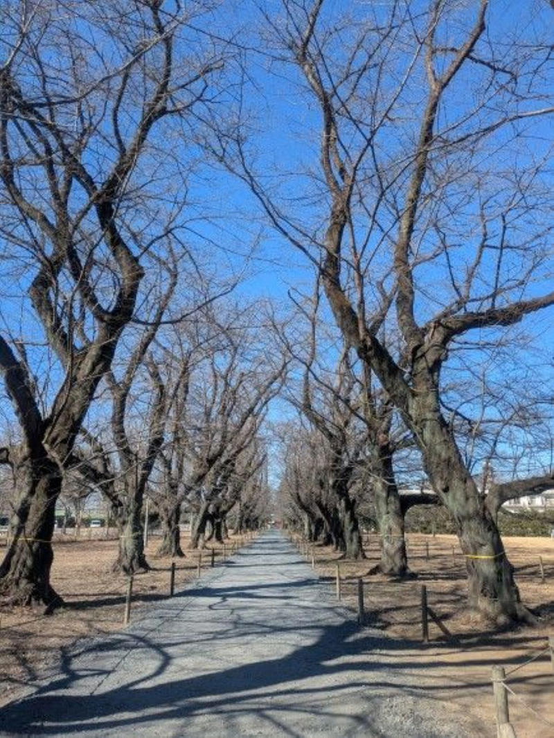 満開の桜と色鮮やかなインコが楽しめる【護国寺】, 【四ツ谷駅前】で仕事帰りの夜桜見物, 桜の名所【洗足池】は、日蓮聖人、歌川広重、勝海舟のお墨付き！, 春を先取りする河津桜の風景【静岡県河津町】, 石神井川沿いを歩き、都立城北中央公園へ【氷川台・上板橋】, 桜と静けさを楽しむ見晴台【稲荷山公園】, “はしご桜”で春色気分をフルチャージ！【六本木・さくら通りほか】, 【埼玉県伊奈町】愛称は「無線山」、黒い枝ぶりに春の予感, 駅チカ【越谷レイクタウン・Sakura Lake】の桜