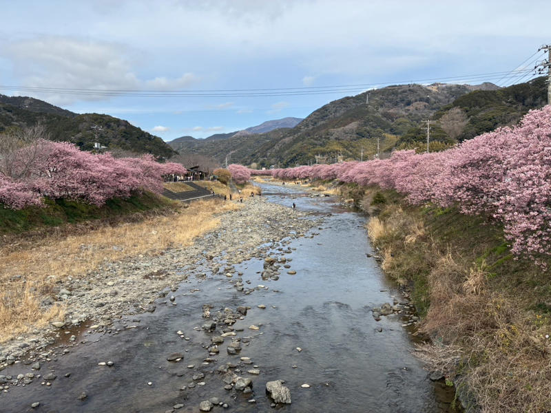 満開の桜と色鮮やかなインコが楽しめる【護国寺】, 【四ツ谷駅前】で仕事帰りの夜桜見物, 桜の名所【洗足池】は、日蓮聖人、歌川広重、勝海舟のお墨付き！, 春を先取りする河津桜の風景【静岡県河津町】, 石神井川沿いを歩き、都立城北中央公園へ【氷川台・上板橋】, 桜と静けさを楽しむ見晴台【稲荷山公園】, “はしご桜”で春色気分をフルチャージ！【六本木・さくら通りほか】, 【埼玉県伊奈町】愛称は「無線山」、黒い枝ぶりに春の予感, 駅チカ【越谷レイクタウン・Sakura Lake】の桜