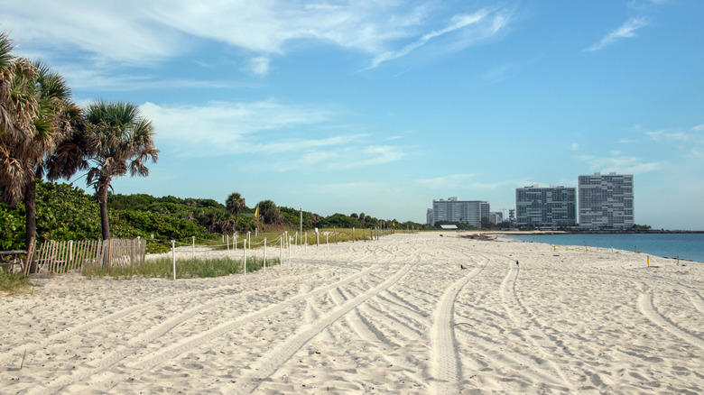Tigertail Beach, Captiva Island, Shell Key Preserve, Dania Beach, St. George Island, Methodology
