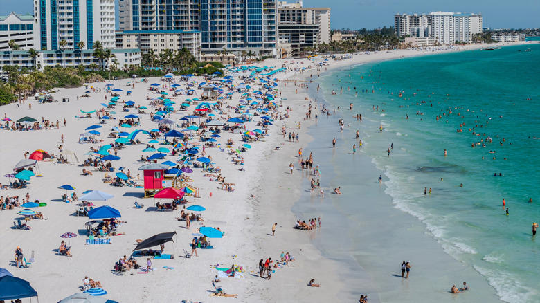 Tigertail Beach, Captiva Island, Shell Key Preserve, Dania Beach, St. George Island, Methodology