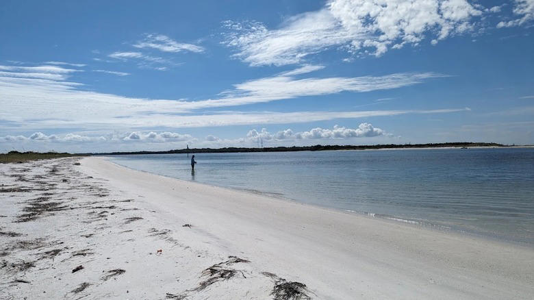 Tigertail Beach, Captiva Island, Shell Key Preserve, Dania Beach, St. George Island, Methodology