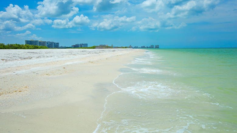 Tigertail Beach, Captiva Island, Shell Key Preserve, Dania Beach, St. George Island, Methodology