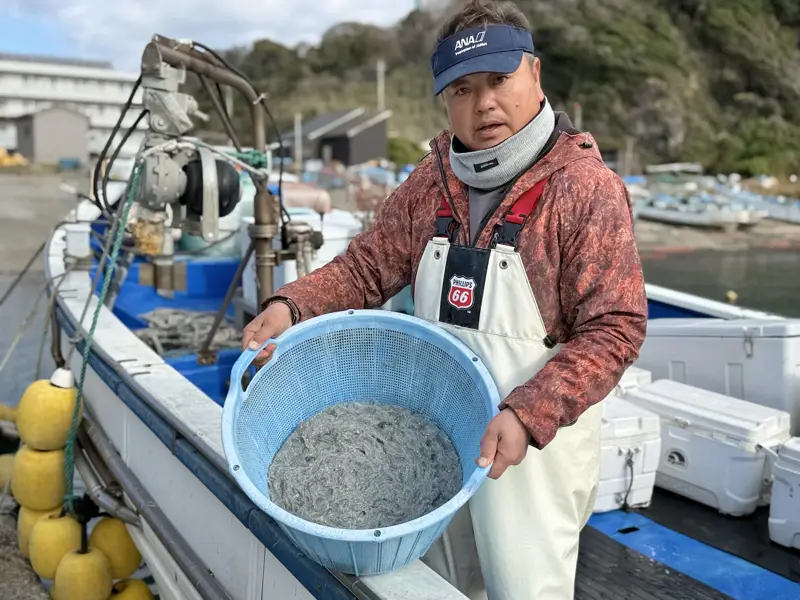 ニ色丼（生しらす・釜揚げしらす）1,320円, 愛されて10年「しらすと地魚料理 夕凪」, 美しく光輝く「湘南しらす」, できる限り新鮮なシラスを届けたい