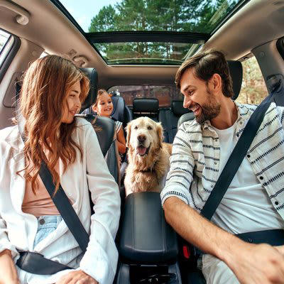 犬と『ドライブ』するときのタブー行為5選, 1.車内でフリーにさせる, 2.運転席や助手席に座らせる, 3.窓を全開にして外を見せる, 4.車内で留守番させる, 5.食後すぐにドライブする, 愛犬と楽しいドライブのはずが…重大なトラブルの危険性