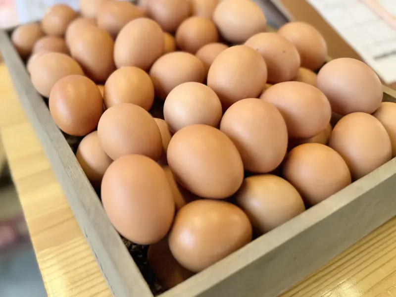 旨みと味が濃い「姫様のたまご」6個（720円)/10個（1,200円）, 三浦半島の海と大地が育てた味, 横須賀と三浦の境にある養鶏場, 父に内緒で育て始めた、200羽の鶏, 「元気か？」「顔色が悪いぞ」——声なき声に耳を澄ませて, 人間の都合ではなく、「姫達の生活リズム」に合わせて, 「姫様」にふさわしい、最高のおもてなし