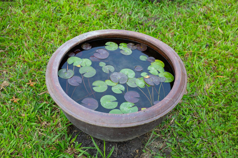 5) Mini Pond 1) Plant Labels, 2) Garden Art, 4) Wreath, 5) Mini Pond, 6) Saucer Bird Feeder, 7) Toad House