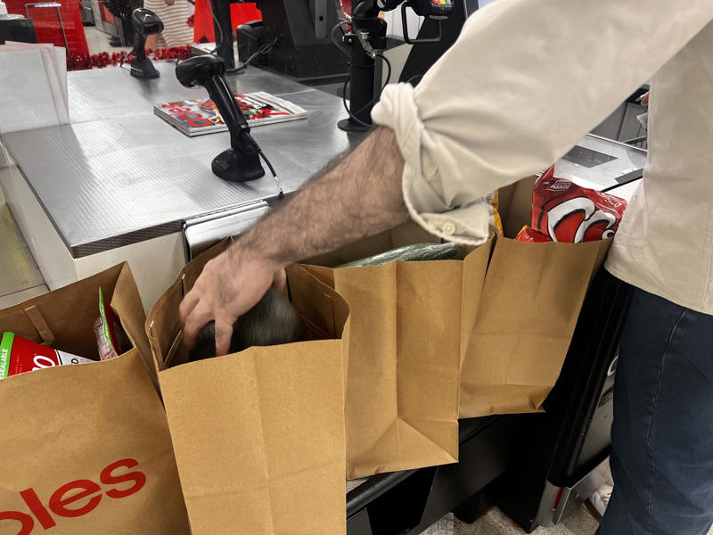 1. Shoppers who block the aisle with their trolleys, 2. Approaching a self-checkout before the previous customer has removed all of their items, 3. Groups of people, families, blocking aisles, 4. People who walk too slowly, 5. Not returning unwanted products to the correct place, 6. People helping themselves to the free fruit for kids, 7. Parents who let their kids push the trolley, 8. People with large backpacks