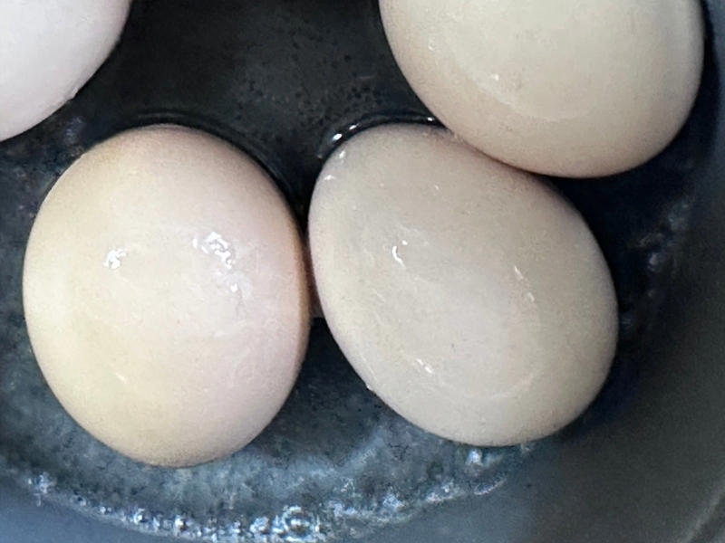 1.卵のお尻にひびを入れます, 2.ひびが入った卵, 3.鍋に水と卵を入れます, 4.弱火から中火で加熱します, 5.火を止めます, 6.ゆで卵の完成です！, 7.常温になるまで冷ましたら冷蔵保存します