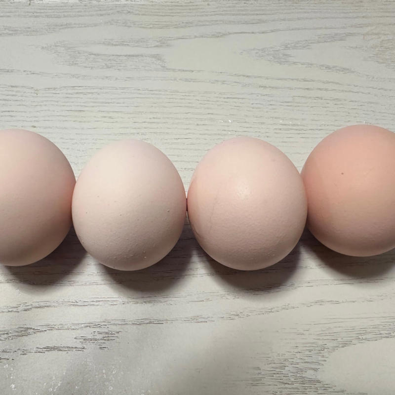 1.卵のお尻にひびを入れます, 2.ひびが入った卵, 3.鍋に水と卵を入れます, 4.弱火から中火で加熱します, 5.火を止めます, 6.ゆで卵の完成です！, 7.常温になるまで冷ましたら冷蔵保存します