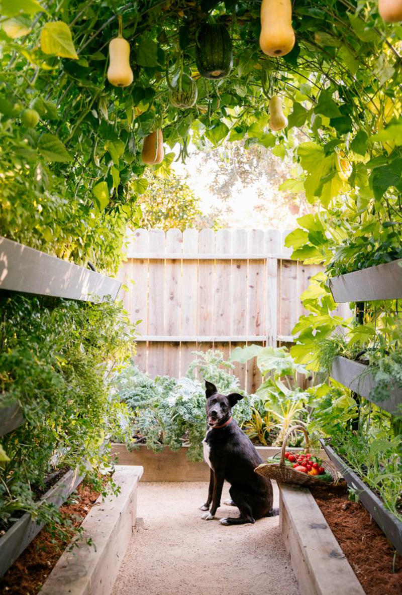 Make It Multi-Functional, Place a Series of Archways, Utilize an A-Frame, Be Bold with Color, Create Visual Anchors, Experiment with Shape, Opt for a Slim Profile, Let Container Edibles Climb, String Up a Support, Design a Bamboo Grid, Make It Industrial Strength, Create a Cohesive Statement, Go Rustic, Mix It Up