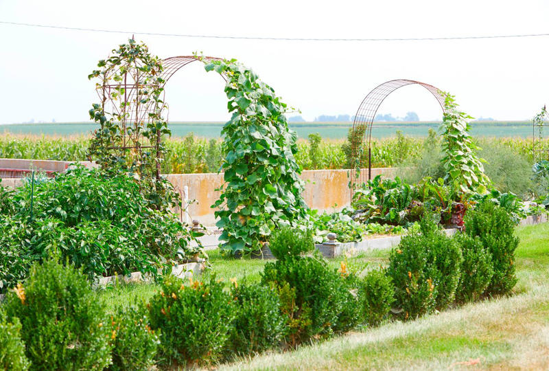 Make It Multi-Functional, Place a Series of Archways, Utilize an A-Frame, Be Bold with Color, Create Visual Anchors, Experiment with Shape, Opt for a Slim Profile, Let Container Edibles Climb, String Up a Support, Design a Bamboo Grid, Make It Industrial Strength, Create a Cohesive Statement, Go Rustic, Mix It Up