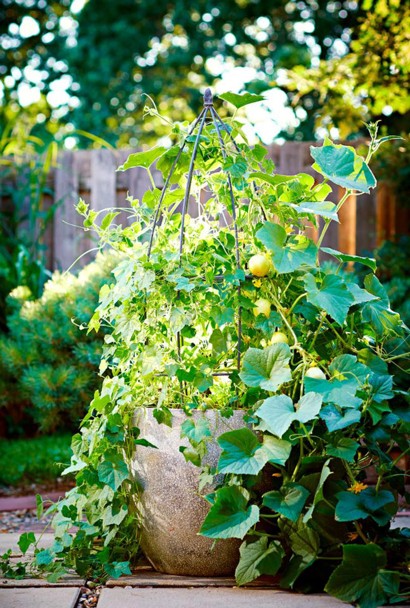 Make It Multi-Functional, Place a Series of Archways, Utilize an A-Frame, Be Bold with Color, Create Visual Anchors, Experiment with Shape, Opt for a Slim Profile, Let Container Edibles Climb, String Up a Support, Design a Bamboo Grid, Make It Industrial Strength, Create a Cohesive Statement, Go Rustic, Mix It Up