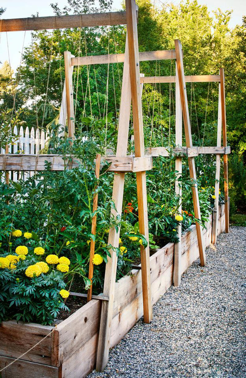 Make It Multi-Functional, Place a Series of Archways, Utilize an A-Frame, Be Bold with Color, Create Visual Anchors, Experiment with Shape, Opt for a Slim Profile, Let Container Edibles Climb, String Up a Support, Design a Bamboo Grid, Make It Industrial Strength, Create a Cohesive Statement, Go Rustic, Mix It Up