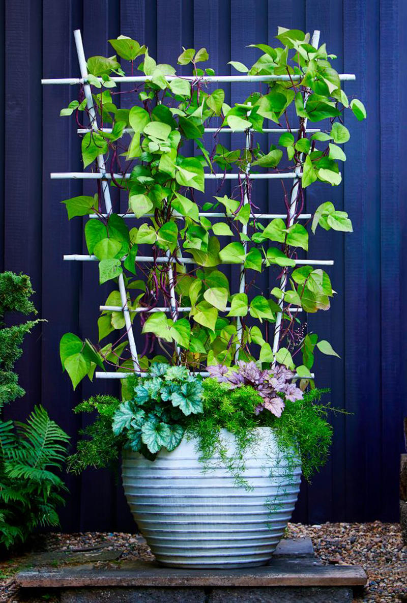 Make It Multi-Functional, Place a Series of Archways, Utilize an A-Frame, Be Bold with Color, Create Visual Anchors, Experiment with Shape, Opt for a Slim Profile, Let Container Edibles Climb, String Up a Support, Design a Bamboo Grid, Make It Industrial Strength, Create a Cohesive Statement, Go Rustic, Mix It Up