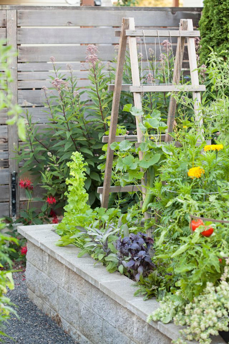 Make It Multi-Functional, Place a Series of Archways, Utilize an A-Frame, Be Bold with Color, Create Visual Anchors, Experiment with Shape, Opt for a Slim Profile, Let Container Edibles Climb, String Up a Support, Design a Bamboo Grid, Make It Industrial Strength, Create a Cohesive Statement, Go Rustic, Mix It Up