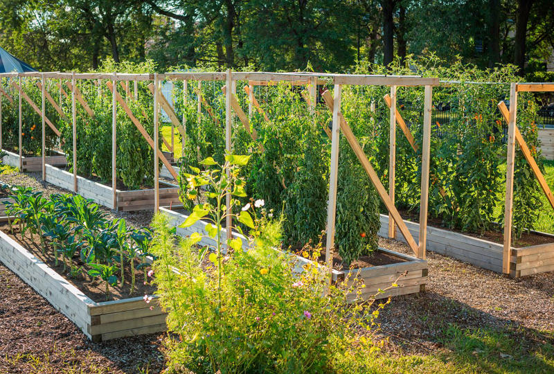 Make It Multi-Functional, Place a Series of Archways, Utilize an A-Frame, Be Bold with Color, Create Visual Anchors, Experiment with Shape, Opt for a Slim Profile, Let Container Edibles Climb, String Up a Support, Design a Bamboo Grid, Make It Industrial Strength, Create a Cohesive Statement, Go Rustic, Mix It Up