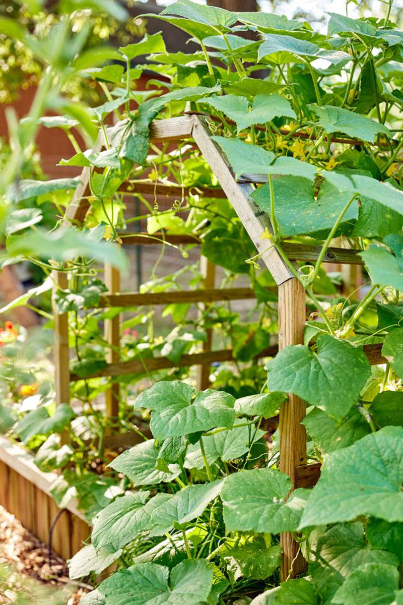 Make It Multi-Functional, Place a Series of Archways, Utilize an A-Frame, Be Bold with Color, Create Visual Anchors, Experiment with Shape, Opt for a Slim Profile, Let Container Edibles Climb, String Up a Support, Design a Bamboo Grid, Make It Industrial Strength, Create a Cohesive Statement, Go Rustic, Mix It Up