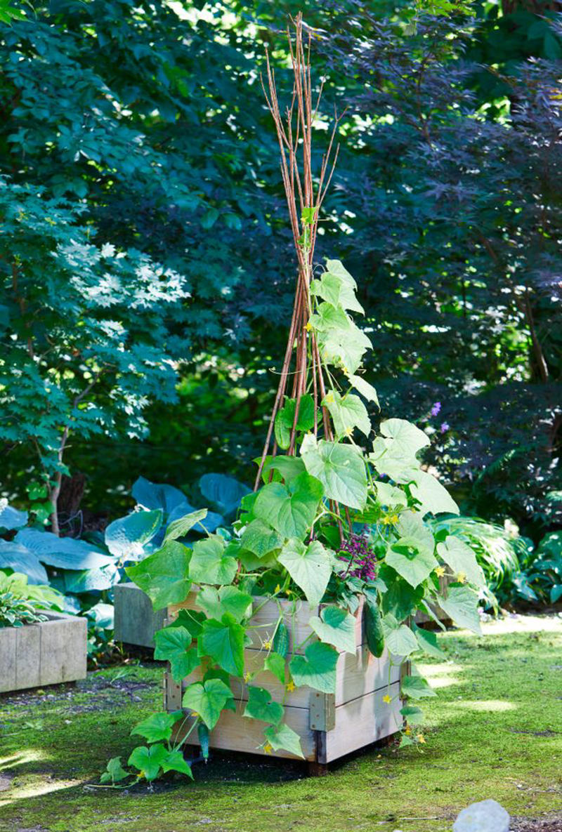 Make It Multi-Functional, Place a Series of Archways, Utilize an A-Frame, Be Bold with Color, Create Visual Anchors, Experiment with Shape, Opt for a Slim Profile, Let Container Edibles Climb, String Up a Support, Design a Bamboo Grid, Make It Industrial Strength, Create a Cohesive Statement, Go Rustic, Mix It Up