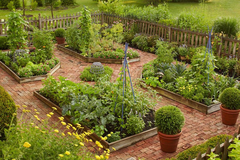 Make It Multi-Functional, Place a Series of Archways, Utilize an A-Frame, Be Bold with Color, Create Visual Anchors, Experiment with Shape, Opt for a Slim Profile, Let Container Edibles Climb, String Up a Support, Design a Bamboo Grid, Make It Industrial Strength, Create a Cohesive Statement, Go Rustic, Mix It Up