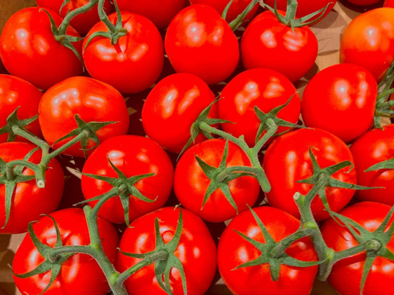花粉症のメカニズム, 花粉症状を悪化させる食べ物①生のトマト, 花粉症状を悪化させる食べ物②アルコール, 花粉症状を悪化させる食べ物③ファーストフード