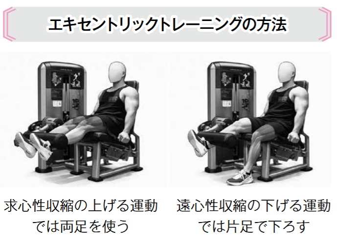 エキセントリックトレーニングは「ゆっくり下ろす」だけでは意味がない, 筋肉を圧倒的に肥大させるトレーニング法, エキセントリックトレーニングの効果, エキセントリックトレーニングの実践方法
