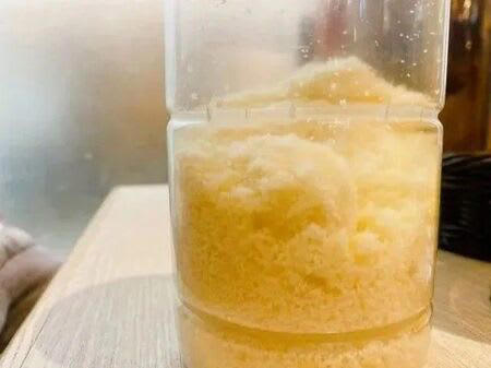 どれが正解？「調味料」の正しい保存方法, 答えは、どれも不正解！！, 粉チーズは「常温」保存が正解, はちみつは「湿気の少ない場所」に, 料理酒は「冷蔵庫」で保存