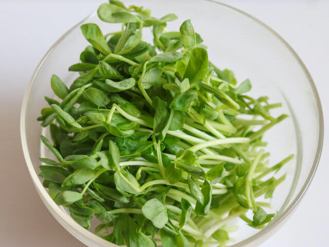豚肉ともやしのレンジ蒸しを作るのにかかる時間, 豚肉ともやしのレンジ蒸しのカロリー, 豚肉ともやしのレンジ蒸しのレシピ, 豚肉ともやしのレンジ蒸しの材料（2人分）, 豚肉ともやしのレンジ蒸しの作り方