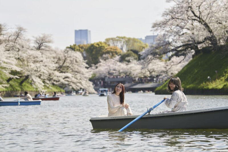 幻想的な夜の散歩道「皇居千鳥ヶ淵 夜桜ライトアップ」, 待ち時間なし！千鳥ヶ淵ボート「スマートチケット」の活用術, 「わたしの幸せな結婚」と初コラボ！スタンプラリー開催, リラックマ5周年記念＆おトクなキャンペーンも見逃せない, 「千代田のさくらまつり2026」開催概要・基本情報