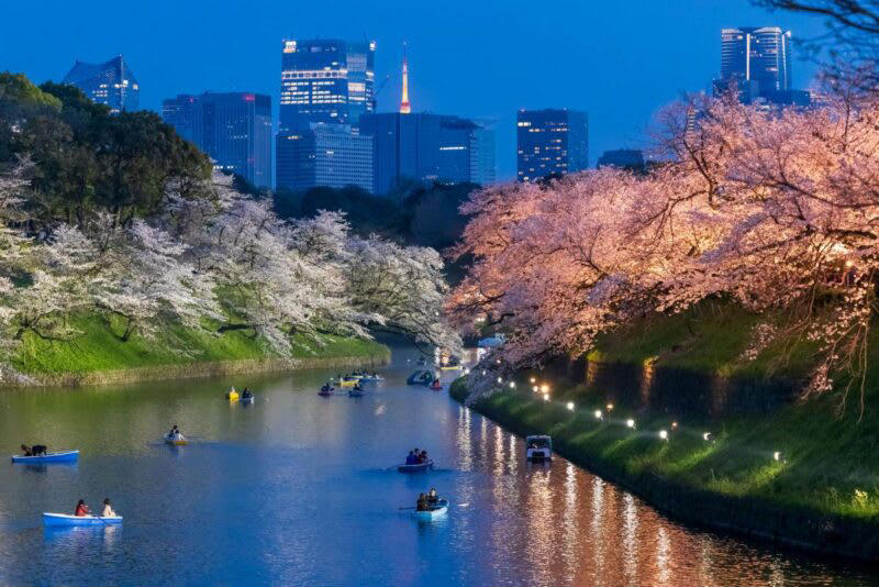幻想的な夜の散歩道「皇居千鳥ヶ淵 夜桜ライトアップ」, 待ち時間なし！千鳥ヶ淵ボート「スマートチケット」の活用術, 「わたしの幸せな結婚」と初コラボ！スタンプラリー開催, リラックマ5周年記念＆おトクなキャンペーンも見逃せない, 「千代田のさくらまつり2026」開催概要・基本情報