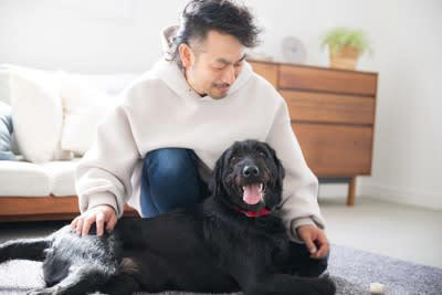 「優しい心をもつ犬」がみせる5つのサイン, 1.自分より小さい存在（子供や子犬）に手加減をする, 2.飼い主が悲しんでいるときに寄り添う, 3.他の犬に吠えられても受け流す, 4.じっと目を見つめてくる, 5.体の一部をピタッとくっつけてくる, 感情が安定している犬の特徴, 優しい犬と接する時の注意点