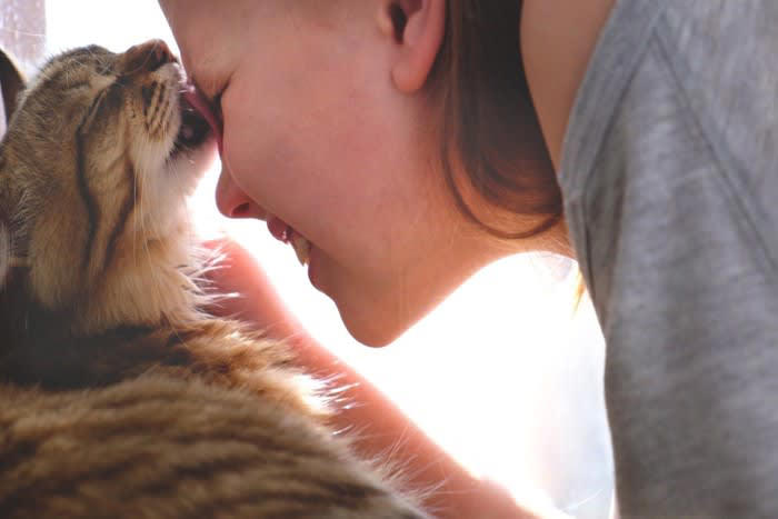 愛猫が大好きな人にだけみせる行動4選, 1. 特定の人にだけ甘え声を使い分ける, 2.全体重をかけて体を預ける, 3.お気に入りのおもちゃを持ってくる, 4.飽きるまでペロペロ舐める, 猫の愛情サインへの応え方