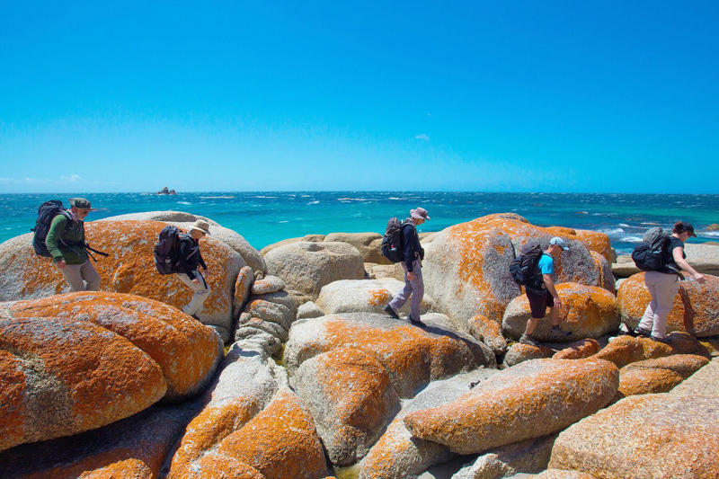Michinoku Coastal Trail, West Highland Way, East Coast Trail, Bay of Fires Walk, Mont Blanc Walk, Alta Via, Dolomite Mountains, The Dingle Way, The Cross-Bwindi Trek, Lodge to Lodge Trek, Mt. Cotopaxi, Blue Ridge Mountains