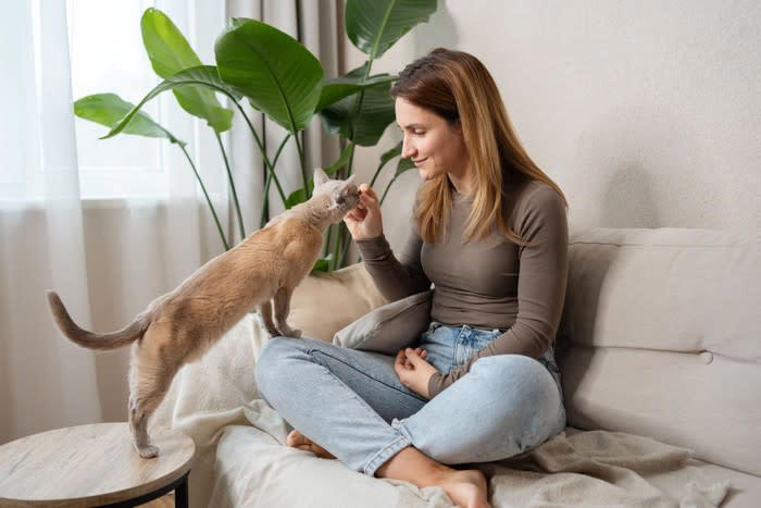 愛猫が大好きな人にだけみせる行動4選, 1. 特定の人にだけ甘え声を使い分ける, 2.全体重をかけて体を預ける, 3.お気に入りのおもちゃを持ってくる, 4.飽きるまでペロペロ舐める, 猫の愛情サインへの応え方