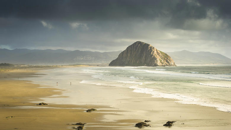 Santa Cruz, Monterey, Morro Bay, Pismo Beach, Santa Barbara, Methodology