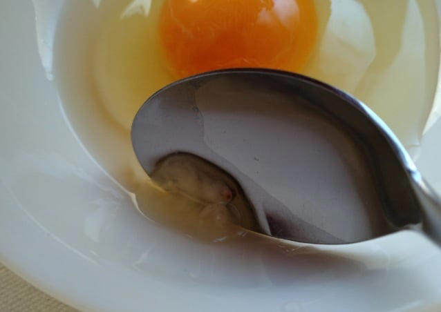 卵料理の“あるある”な悩みとは？, 1. 卵の殻が入ったときの取り方｜スプーンで簡単にすくう方法, 2. 黄身と白身の分け方｜スプーンを使うと安定しやすい, 3. カラザの取り方｜スプーンの先端を活用, 卵のちょっとしたストレスは道具で軽減できる