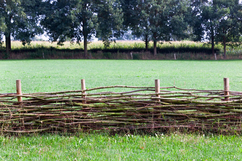 Why Edging Matters, Types of Edging, Free: Hand Edging, Almost Free: Glass Bottle Edging , Practically Free: Natural Log Edging, Inexpensive: Plastic Edging, Inexpensive: Woven Willow Edging, Inexpensive: Cedar Edging, Inexpensive: Landscape Timber Edging, Inexpensive: Bamboo Edging, Inexpensive: Pound-In Plastic Edging, Inexpensive: Metal Edging, Less Expensive: Scalloped Terracotta Edging, Less Expensive: Brick Edging, Less Expensive: Eucalyptus Wood Border Edging, Less Expensive: Grass and Shrub Edging, Less Expensive: Mixed Plant Edging,  Less Expensive: Gravel Edging, Less Expensive: Recycled Rubber Edging, Less Expensive: Stone and Gravel Edging, Less Expensive: Stone Pillar Edging , Moderately Expensive: Tidy Living Hedge Edging, Moderately Expensive: Weathering Steel Edging, Moderately Expensive: Paver Stone Edging, Moderately Expensive: Flagstone Edging, Expensive: Concrete Wall Edging, Expensive: Brick Wall Edging, Expensive: Decorative Fence Edging, Expensive: Raised-Garden Bed Edging, Expensive: Poured Concrete Edging, Various Prices: Natural Rock Edging, Various Prices: Antique Ironwork Border