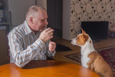犬を落ち着かせる声のかけ方, 1.低めの声で声かけをすること, 2.ゆっくりと話すように声かけをすること, 3.気持ちを落ち着かせてから声かけをすること, 4.やわらかい声で指示を出すこと, 5.ゆったりとした動作で声かけをすること, 愛犬が興奮してしまう要因, しつけのポイント