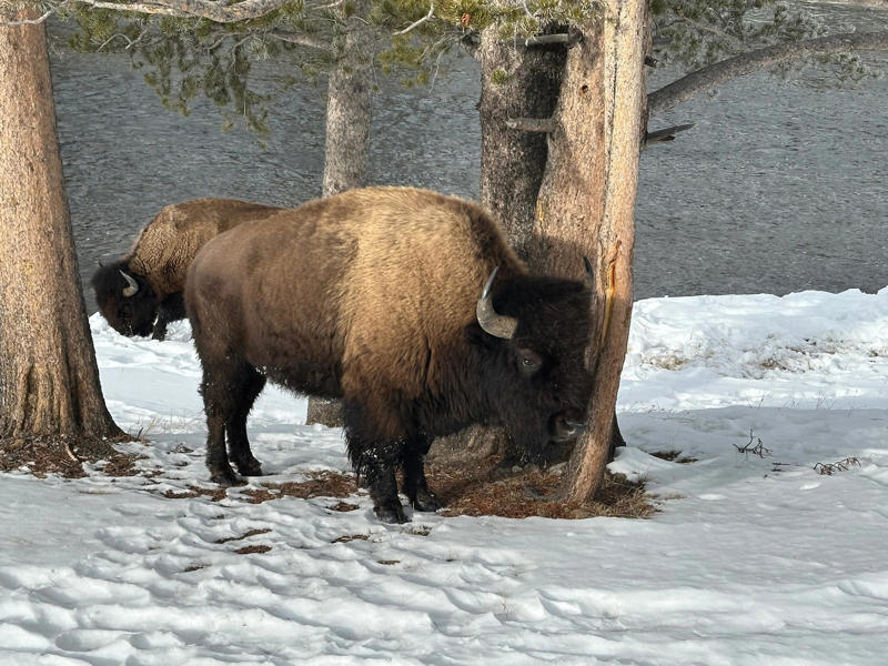 What to do in Big Sky , More beyond the mountain , Where to stay , How to get to Big Sky 