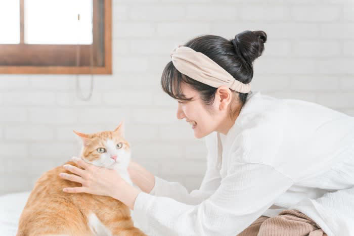 猫に不快感を与える『ダメな撫で方』, 1.いきなり頭や体を強く触る, 2.同じ場所を長時間撫で続ける, 3.苦手な部位を無理に触る, 猫が喜ぶ正しい撫で方と心がけ