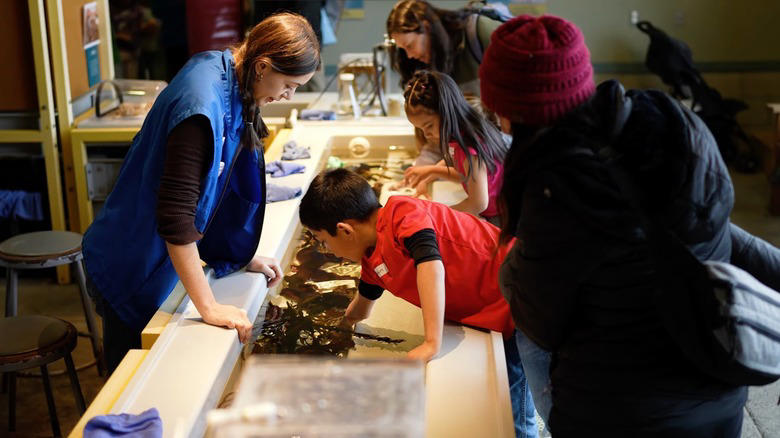 The Santa Cruz Museum of Art & History, Seymour Marine Discovery Center, Arana Gulch, Natural Bridges State Beach, Neary Lagoon Park, Methodology