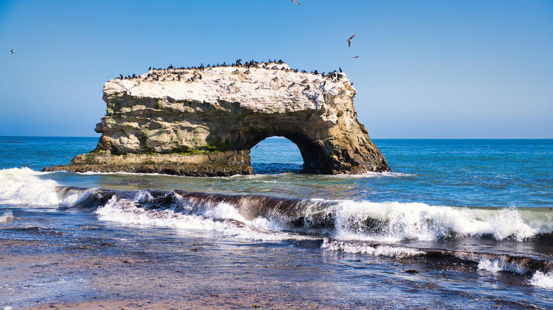 The Santa Cruz Museum of Art & History, Seymour Marine Discovery Center, Arana Gulch, Natural Bridges State Beach, Neary Lagoon Park, Methodology