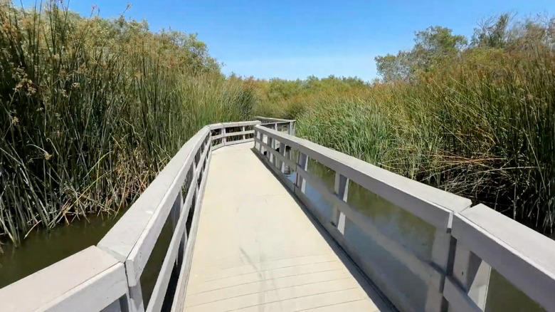 The Santa Cruz Museum of Art & History, Seymour Marine Discovery Center, Arana Gulch, Natural Bridges State Beach, Neary Lagoon Park, Methodology