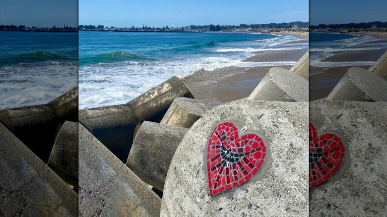 The Santa Cruz Museum of Art & History, Seymour Marine Discovery Center, Arana Gulch, Natural Bridges State Beach, Neary Lagoon Park, Methodology