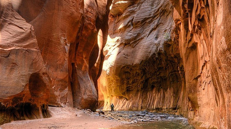 10. Cassidy Arch (Capitol Reef), 9. Chesler Park/Joint Trail Loop (Canyonlands), 8. Mesa Arch Trail (Canyonlands), 7. Observation Point via East Mesa (Zion), 6. Fairyland Loop Trail (Bryce Canyon), 5. Devil's Garden Trail and Primitive Loop (Arches), 4. Navajo Loop and Queen's Garden Trail (Bryce Canyon), 3. The Narrows, Bottom Up (Zion), 2. Angels Landing Trail (Zion), 1. Delicate Arch Trail (Arches)