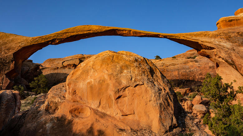 10. Cassidy Arch (Capitol Reef), 9. Chesler Park/Joint Trail Loop (Canyonlands), 8. Mesa Arch Trail (Canyonlands), 7. Observation Point via East Mesa (Zion), 6. Fairyland Loop Trail (Bryce Canyon), 5. Devil's Garden Trail and Primitive Loop (Arches), 4. Navajo Loop and Queen's Garden Trail (Bryce Canyon), 3. The Narrows, Bottom Up (Zion), 2. Angels Landing Trail (Zion), 1. Delicate Arch Trail (Arches)