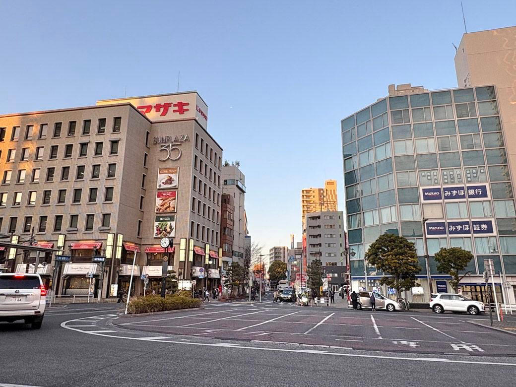 人口約50万人の都市、それでも百貨店は全滅した, なぜ市川の百貨店はこんなに短命だったのか, 百貨店開業ラッシュの中で「スーパーが少ない」との声も, 東京が近すぎた市川市, 他のベッドタウンでも、同様の事例は散見