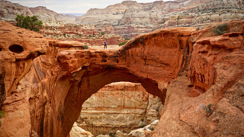 10. Cassidy Arch (Capitol Reef), 9. Chesler Park/Joint Trail Loop (Canyonlands), 8. Mesa Arch Trail (Canyonlands), 7. Observation Point via East Mesa (Zion), 6. Fairyland Loop Trail (Bryce Canyon), 5. Devil's Garden Trail and Primitive Loop (Arches), 4. Navajo Loop and Queen's Garden Trail (Bryce Canyon), 3. The Narrows, Bottom Up (Zion), 2. Angels Landing Trail (Zion), 1. Delicate Arch Trail (Arches)