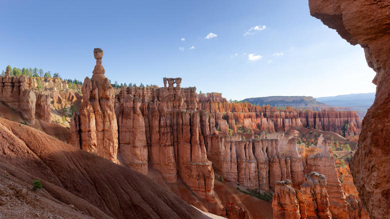 10. Cassidy Arch (Capitol Reef), 9. Chesler Park/Joint Trail Loop (Canyonlands), 8. Mesa Arch Trail (Canyonlands), 7. Observation Point via East Mesa (Zion), 6. Fairyland Loop Trail (Bryce Canyon), 5. Devil's Garden Trail and Primitive Loop (Arches), 4. Navajo Loop and Queen's Garden Trail (Bryce Canyon), 3. The Narrows, Bottom Up (Zion), 2. Angels Landing Trail (Zion), 1. Delicate Arch Trail (Arches)