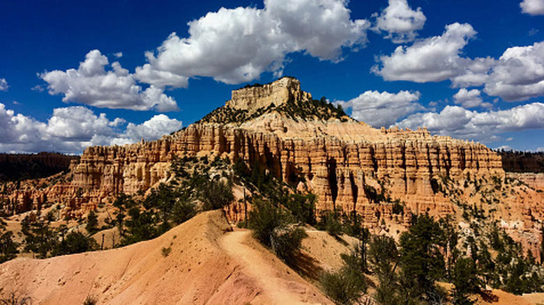 10. Cassidy Arch (Capitol Reef), 9. Chesler Park/Joint Trail Loop (Canyonlands), 8. Mesa Arch Trail (Canyonlands), 7. Observation Point via East Mesa (Zion), 6. Fairyland Loop Trail (Bryce Canyon), 5. Devil's Garden Trail and Primitive Loop (Arches), 4. Navajo Loop and Queen's Garden Trail (Bryce Canyon), 3. The Narrows, Bottom Up (Zion), 2. Angels Landing Trail (Zion), 1. Delicate Arch Trail (Arches)